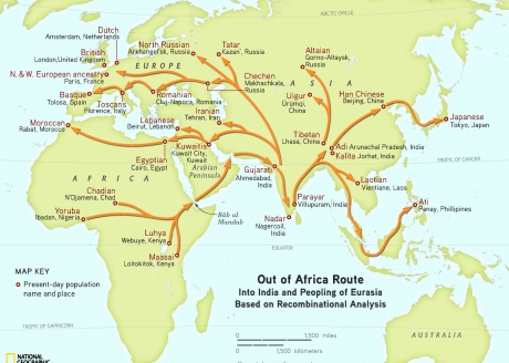 Human migration out of Africa to India and then to Europe.