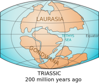 Laurasia & Gondwana Continents
