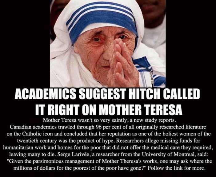 Academics condemn Mother Teresa
